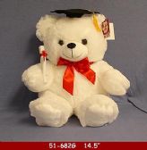 Graduation Hug White Bear